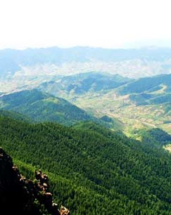 《浴血中条山》