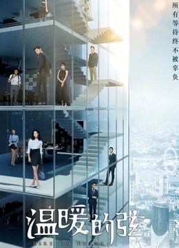 温暖的弦  DVD版