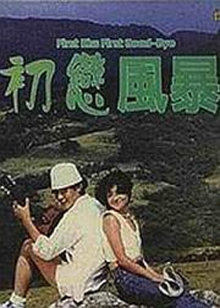 初恋风暴1978